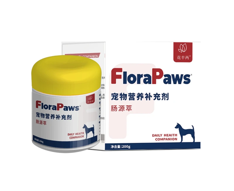 Gut & Digestive Support